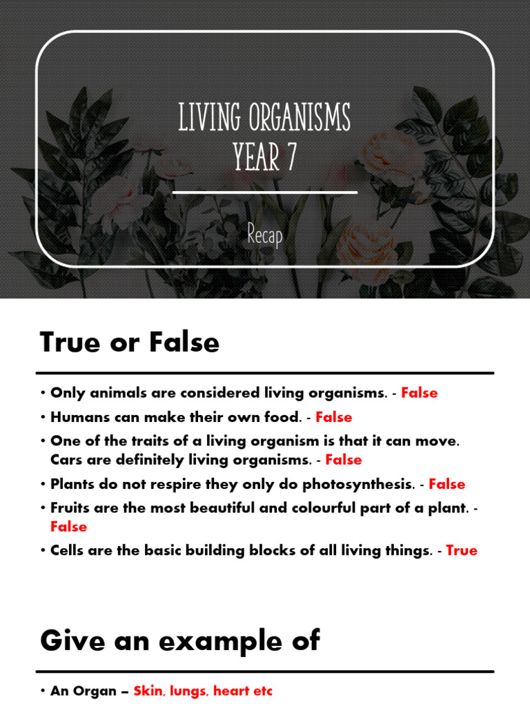 Year 7 Living Organisms Overview | PDF | Foods | Plants