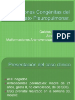 Expo Malformaciones Pulmonares (Jeral)