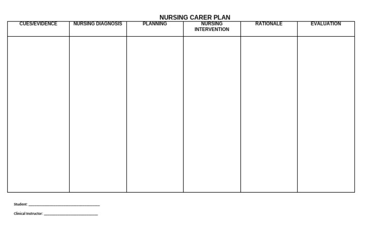 Nursing Care Plan Template | PDF