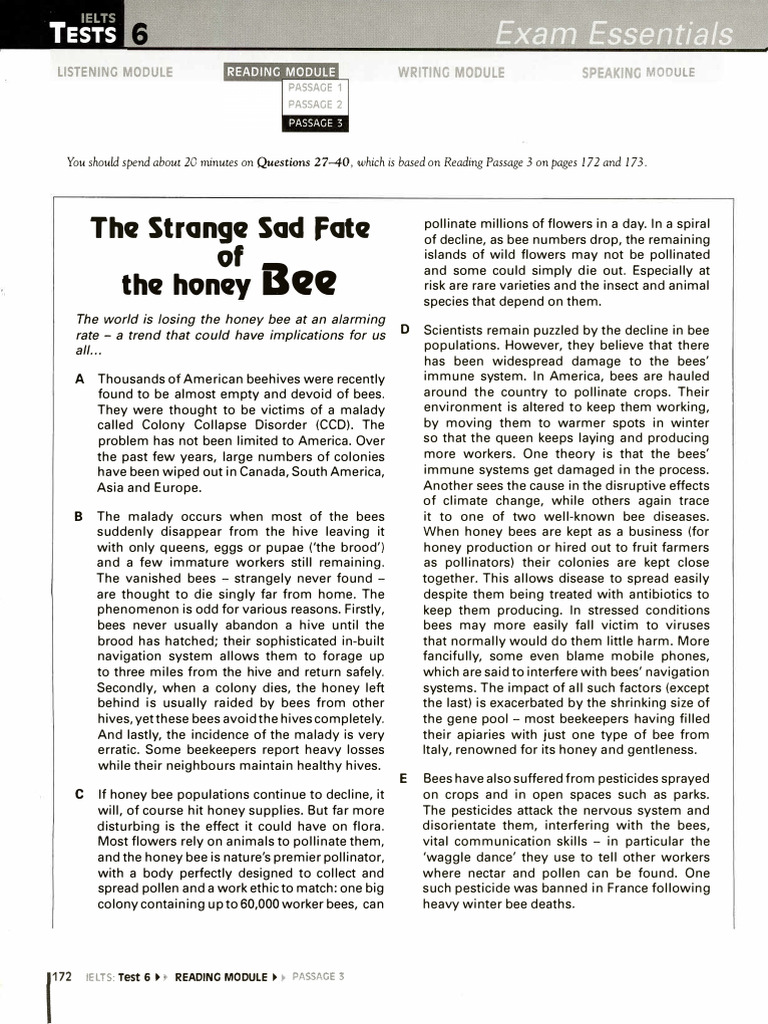 Honey Bee Decline and Its Impact | PDF | Bees | Pollination