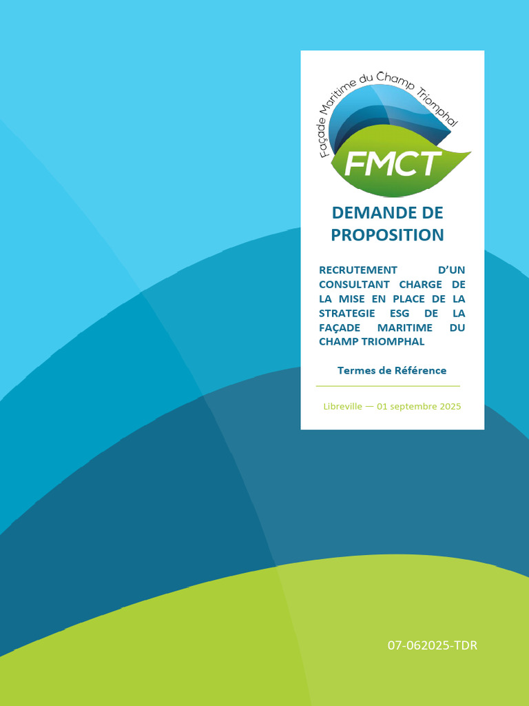 Consultant pour stratégie ESG FMCT | PDF | Consultant | Responsabilité ...