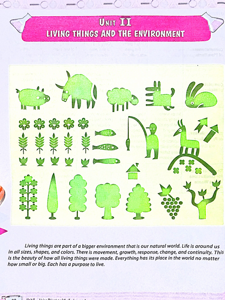 2nd Science | PDF