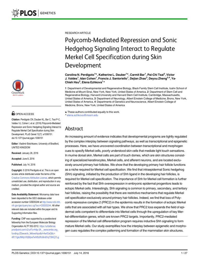 Polycomb-Mediated Repression and Sonic Hedgehog Signaling Interact To ...