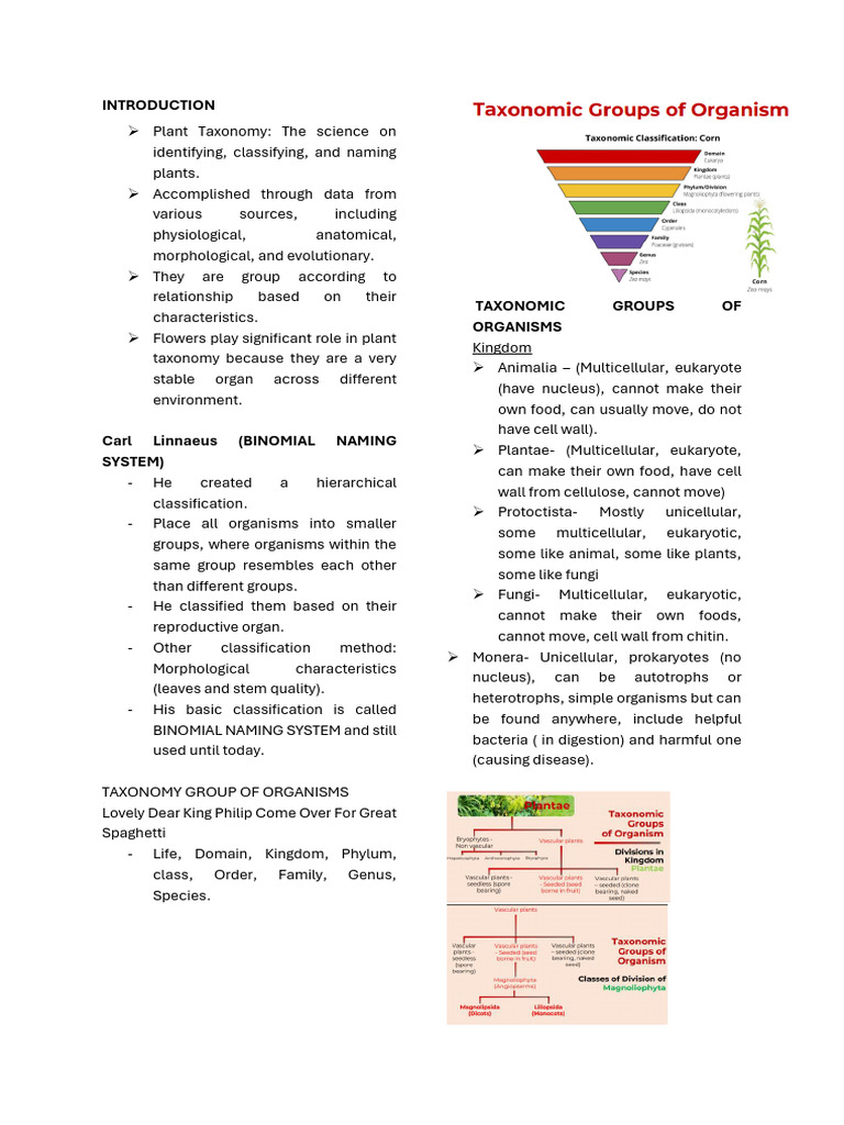 Understanding Plant Taxonomy Basics | PDF | Seed | Flowers