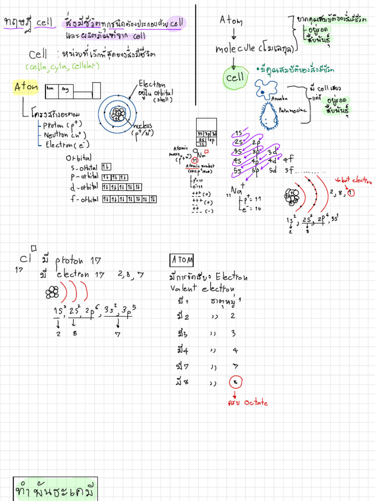 Biochem | PDF