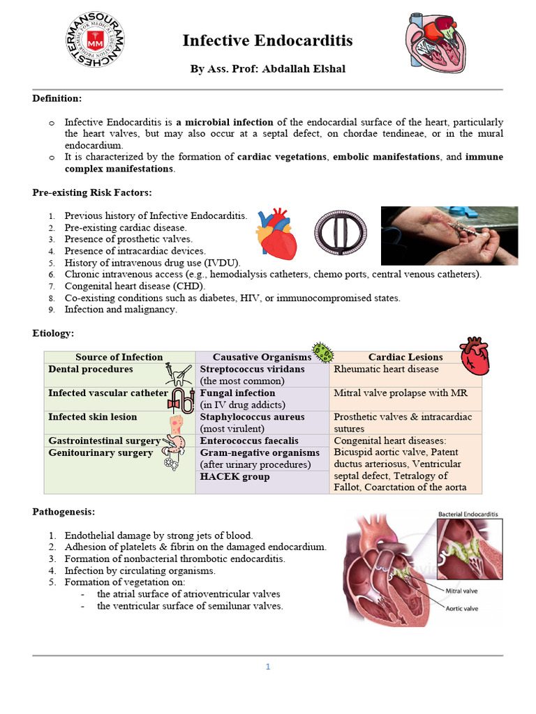 Infective Endocarditis Overview and Risks | PDF | Congenital Heart ...