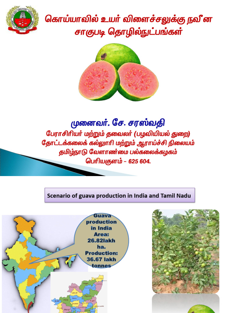 Guava Production Technology & HDP 27.9.22 - Copy..... | PDF