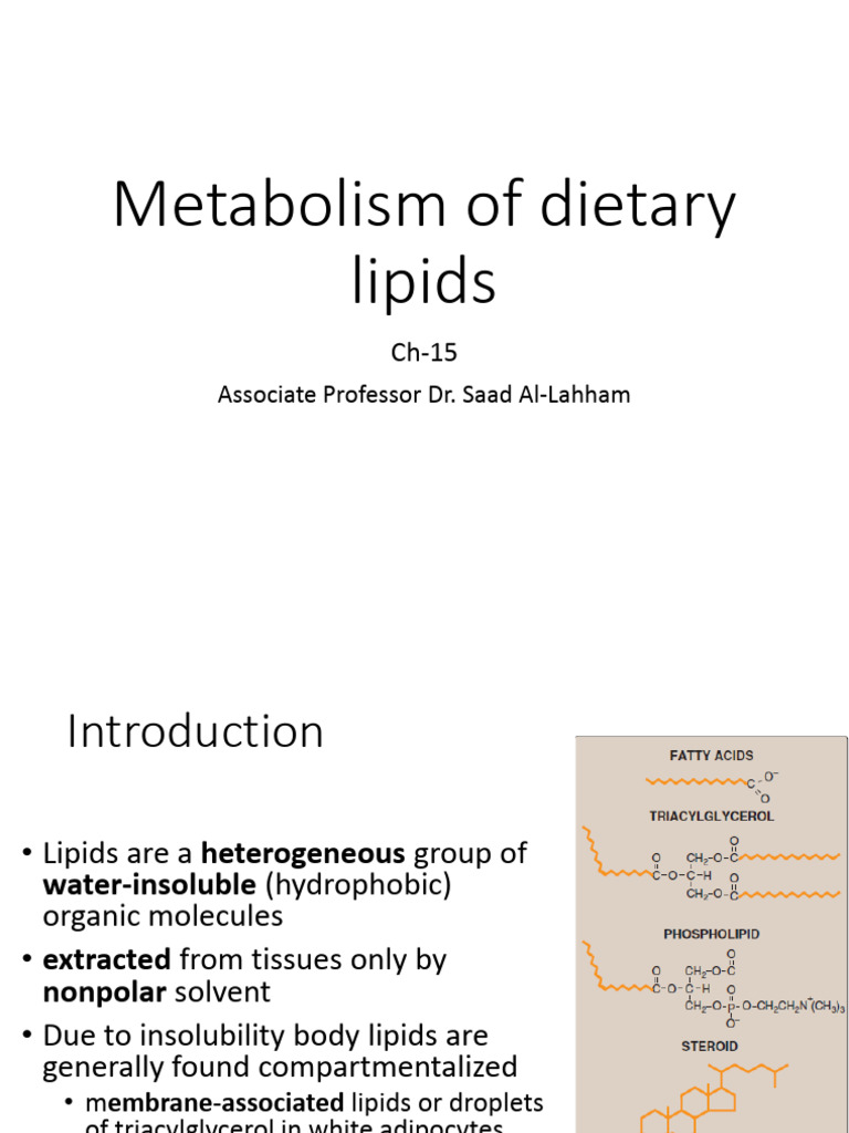 Dietary Lipid Metabolism Overview | PDF | Lipid | Biochemistry