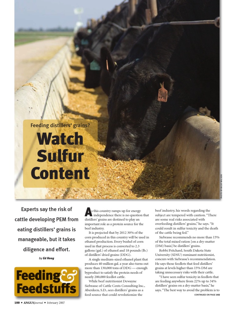 Feeding Distillers' Grains Watch Sulfer Content PDF Sulfur Cattle
