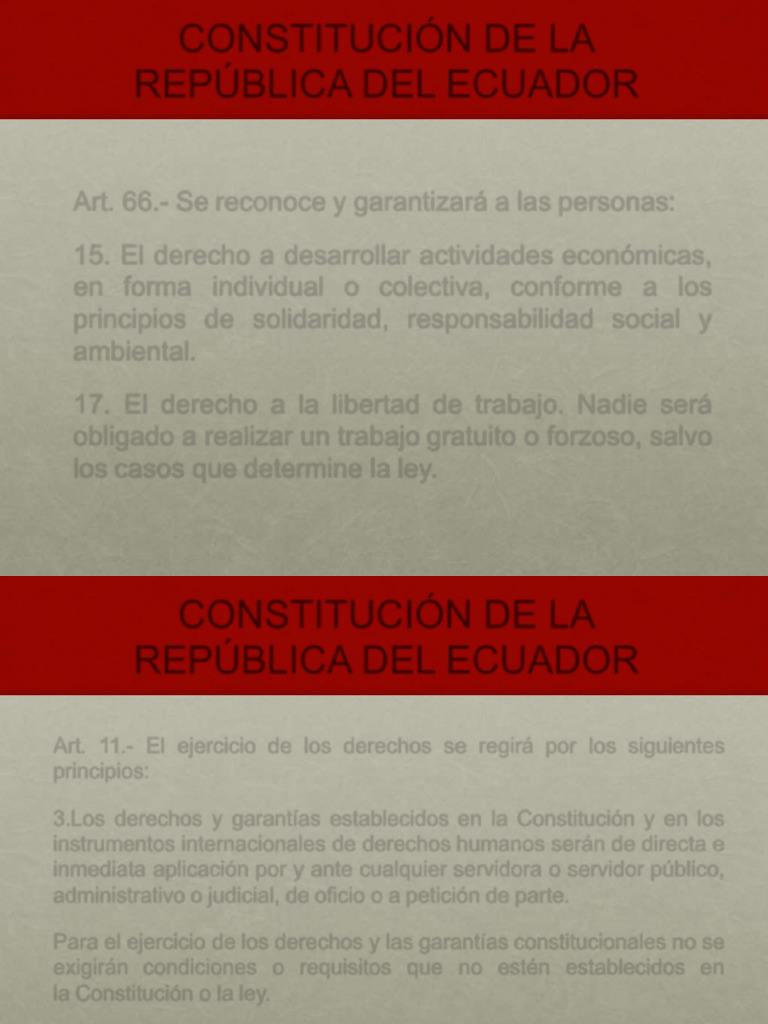 Derechos y Contratación en Ecuador | PDF | Constitución | Derechos