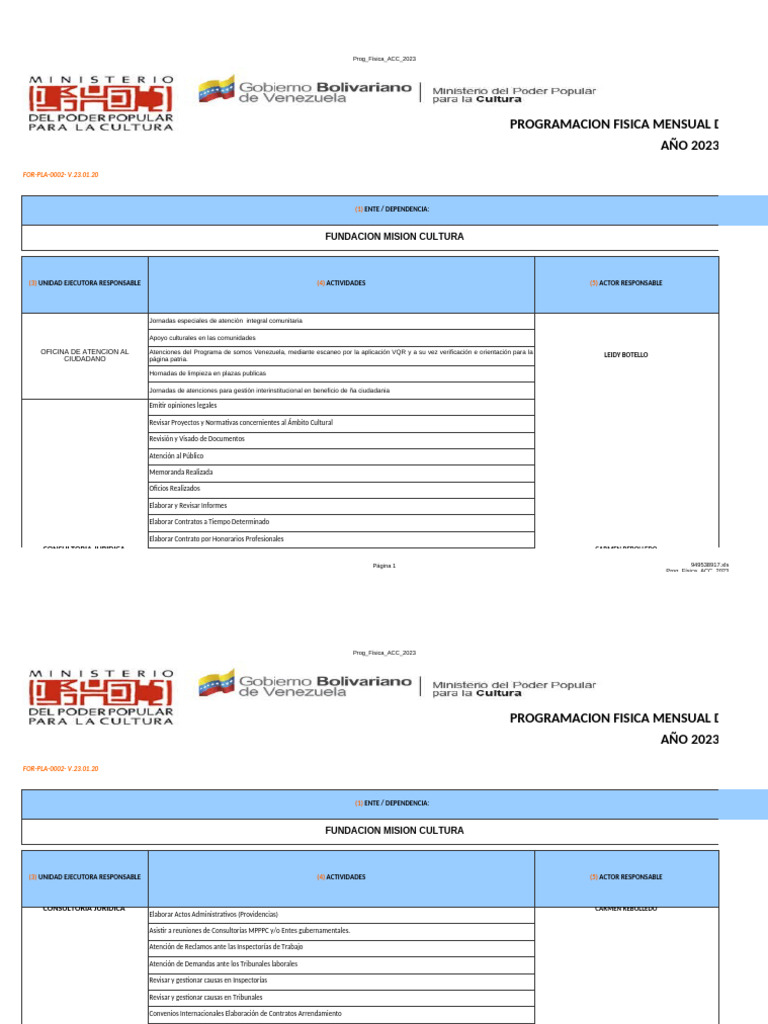 FMC For-Pla-0002 Prog Anual Acc 2023 | PDF | Contabilidad | Presupuesto