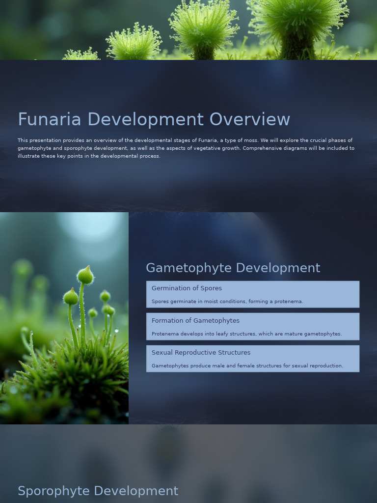 Funaria Life Cycle Overview and Diagrams | PDF | Sexual Reproduction ...