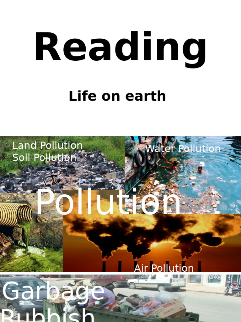 Reading Water Pollution - 125956 | PDF | Water Pollution | Water