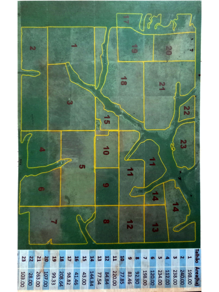 MAPA | PDF