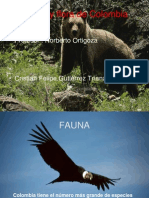 Fauna y Flora de Colombia