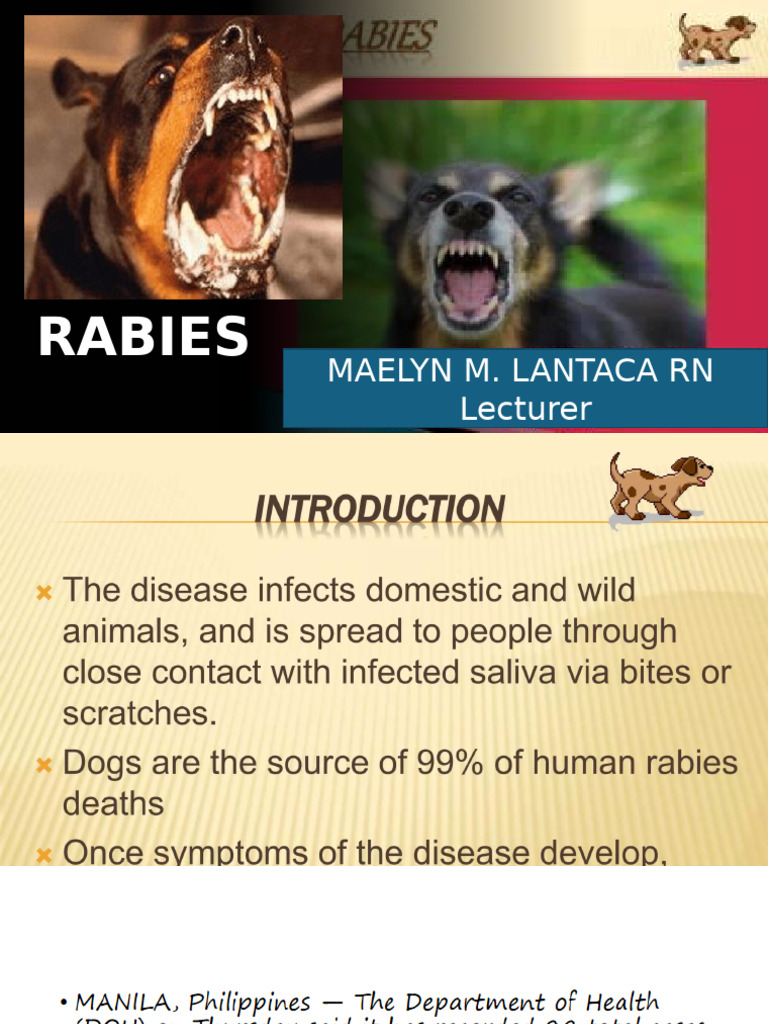 Rabbies | PDF