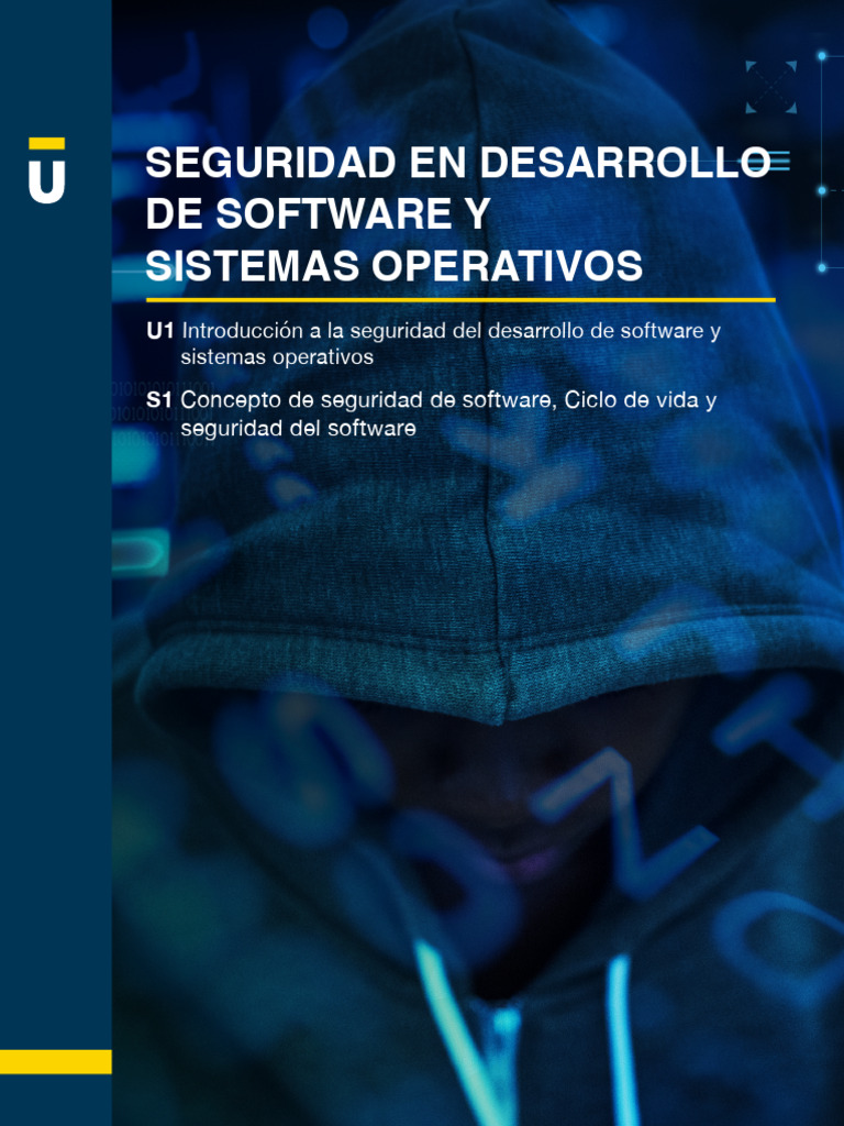 Seguridad en Desarrollo de Software | PDF | Software | Ingeniería de ...