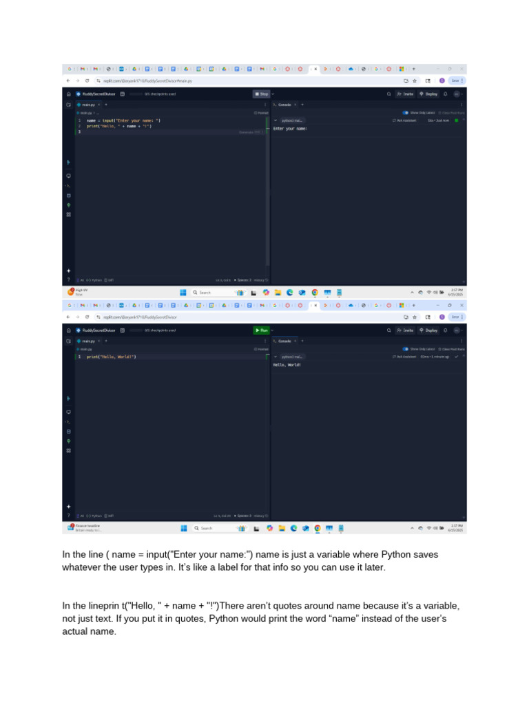 Understanding Python Variables and Input | PDF
