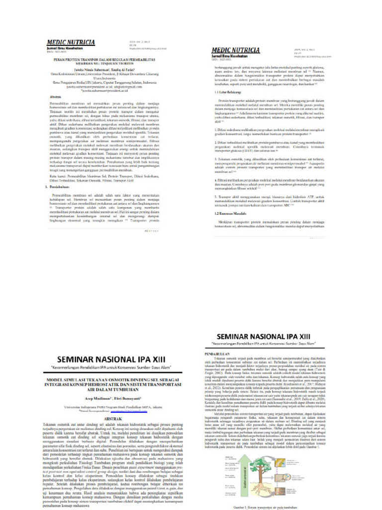 PSL 3 | PDF