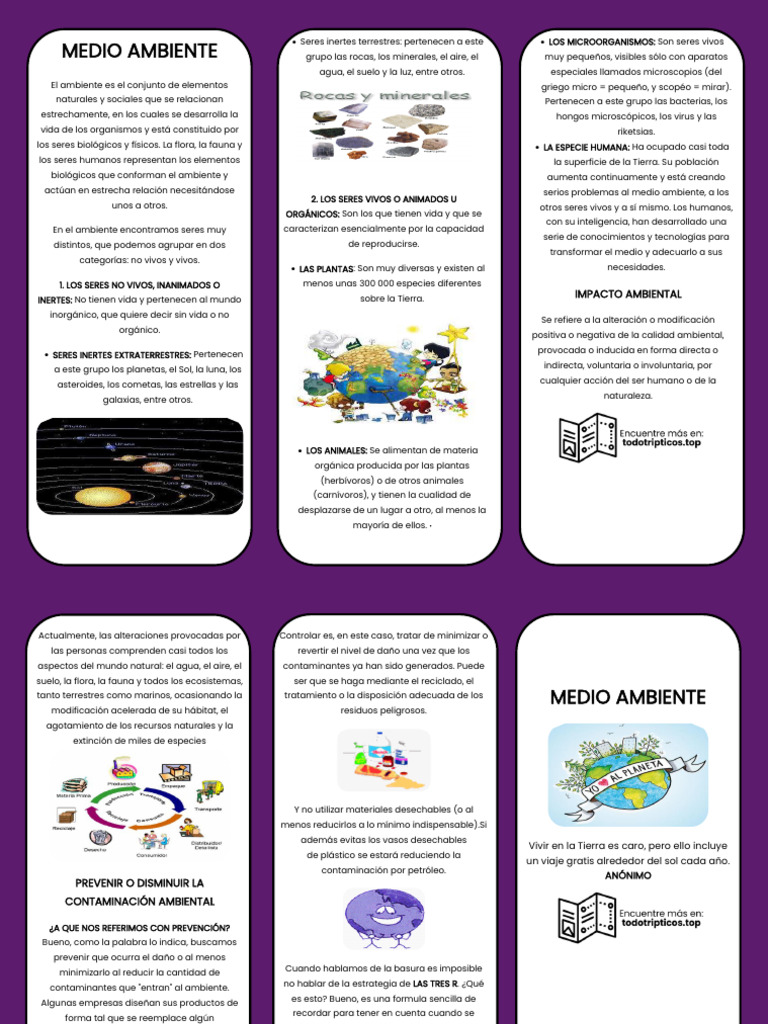 Triptico Del Medio Ambiente 2 | PDF | Entorno natural | Contaminación
