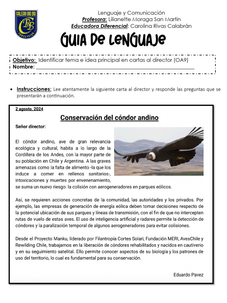 Identificación de Tema en Cartas al Director | PDF