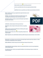 Sistem Neuroendokrin - Makalah