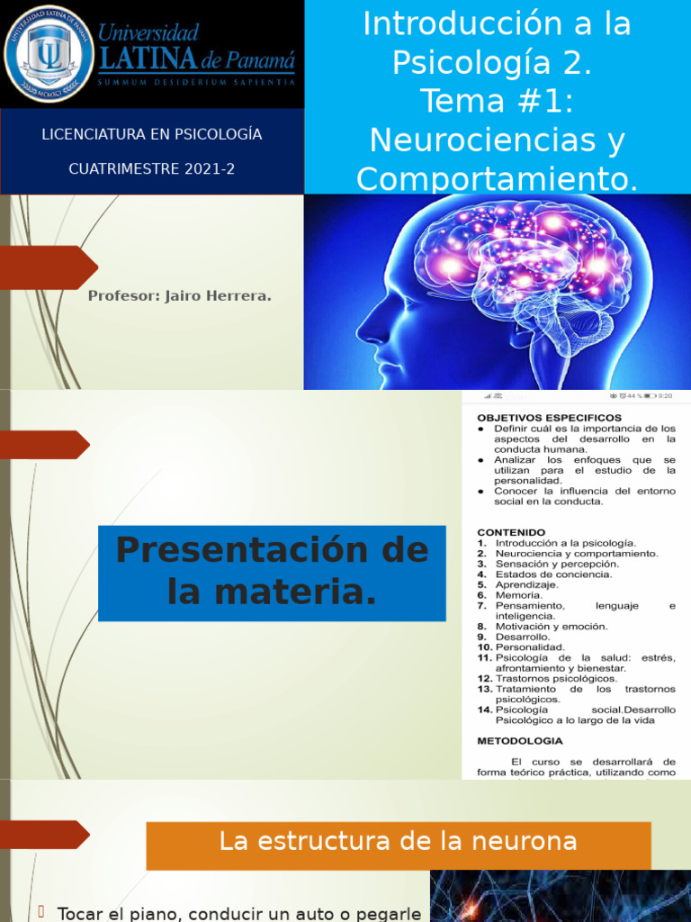 Neurociencias y Comportamiento en Psicología | PDF | Cerebro | Neurona