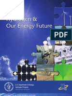 Hydrogen Energy Future Web