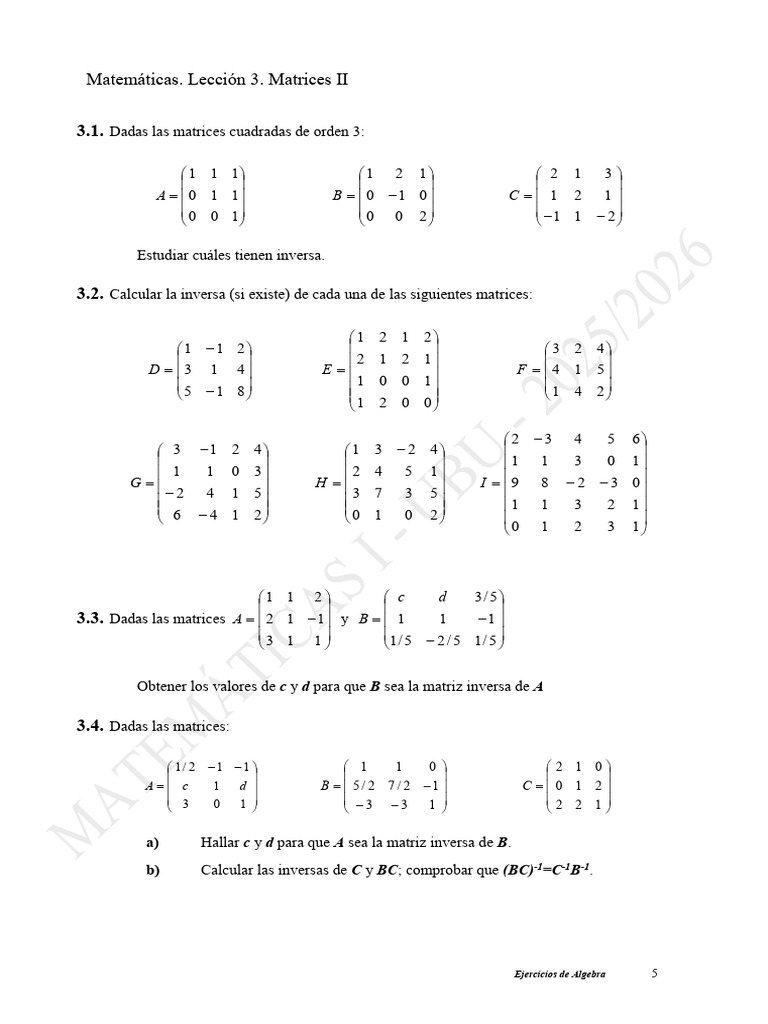 Ejercicios de Matrices II: Álgebra y Propiedades | PDF | Determinante ...