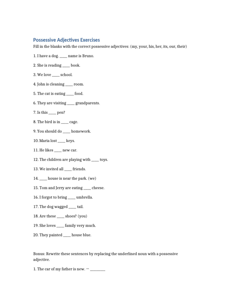 Possessive Adjectives Exercises | PDF