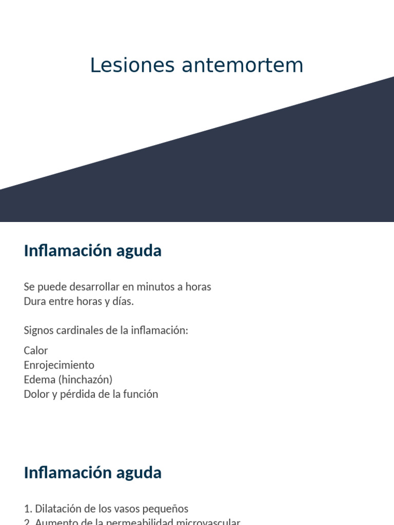 Lesiones Antemortem y su Impacto | PDF