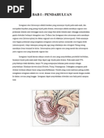 Download invaginasi-radiologi by ferdy_mayo SN92566289 doc pdf