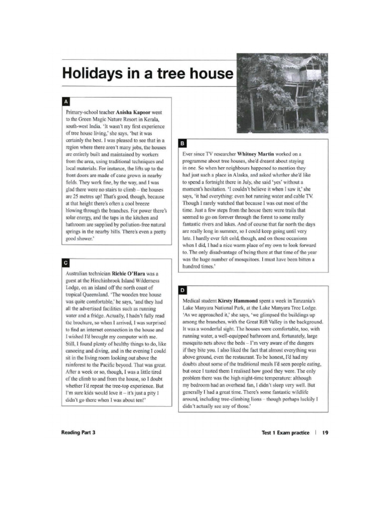 Holidays in A Tree House | PDF