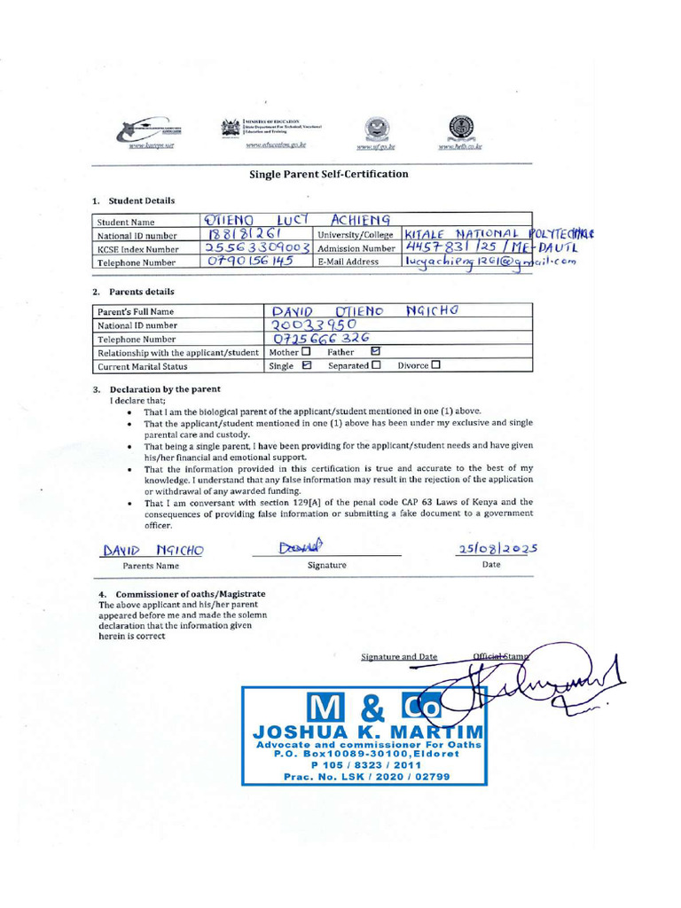 Lucy Single Parent | PDF