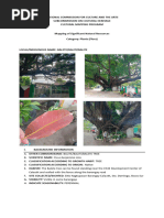 Kalachuchi Tree: A Philippine Icon | PDF