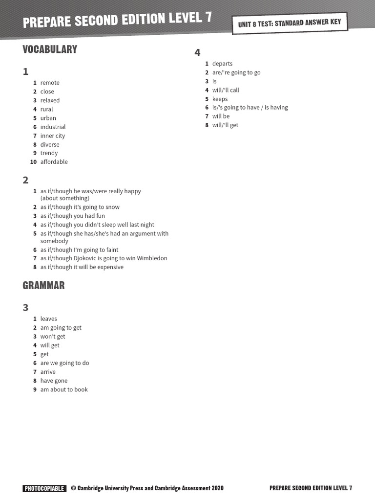 Level 7 Vocabulary and Grammar Tasks | PDF
