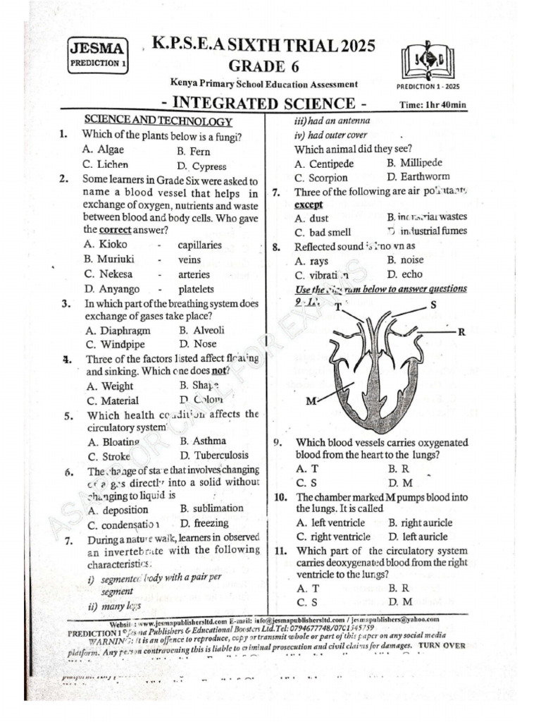 g6 Jesma Prediction 1 Inter | PDF