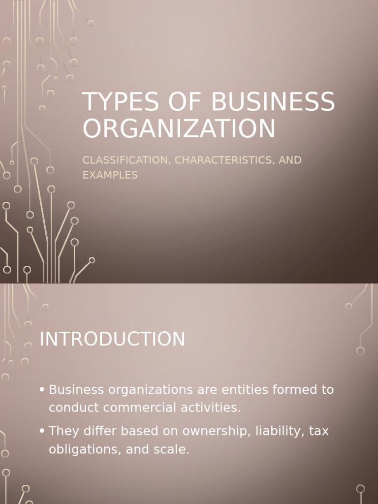 Types of Business Organizations Explained | PDF