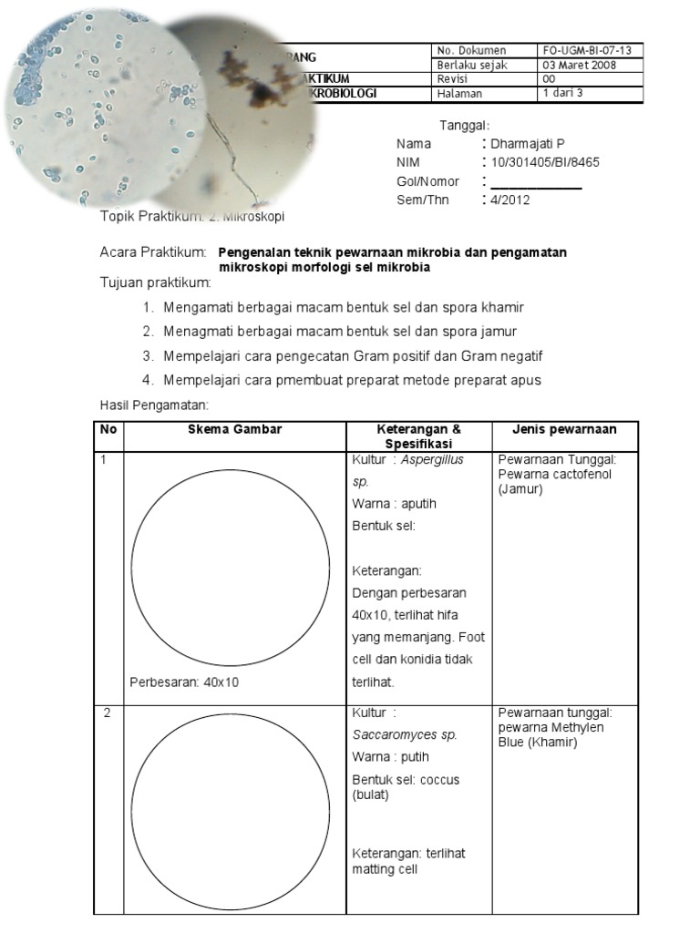 Borang Laporan Praktikum 3 Mikrobiologi Bio3051 Morfologi Mikrobia