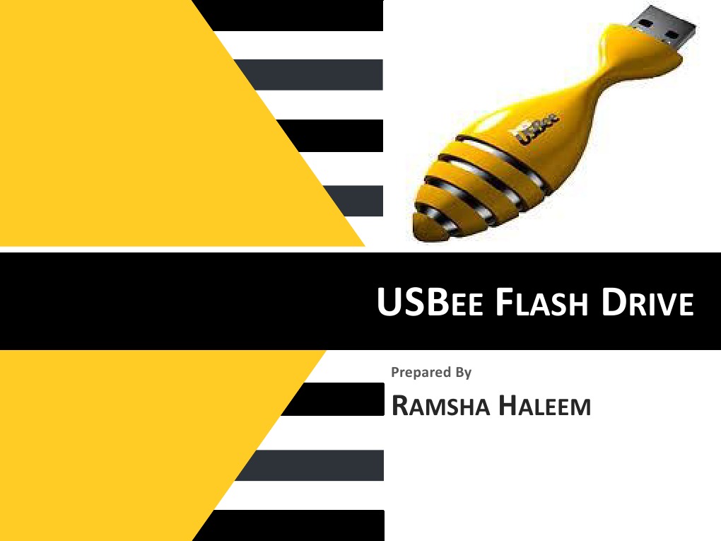 USBee Flash Drive: Flexible & Cool | PDF