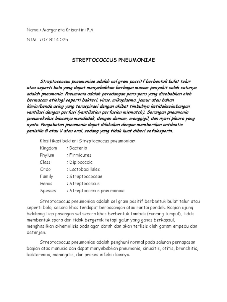 Strep pneumoniae gram stain image
