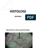 Histologi Respirasi