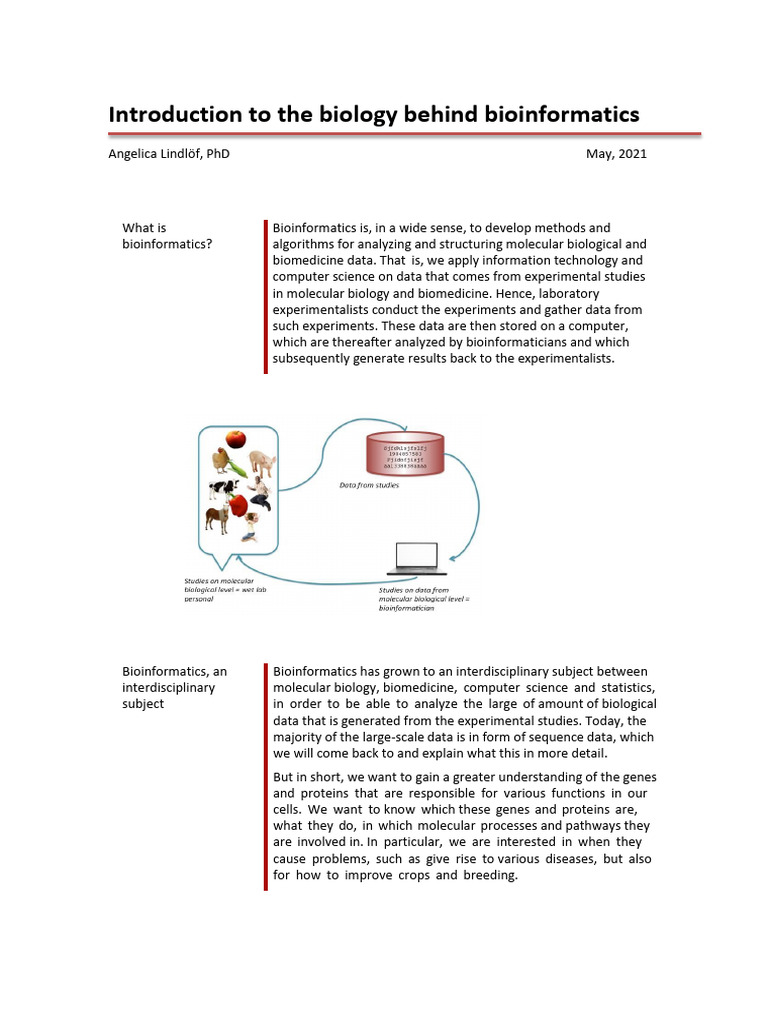 Understanding Bioinformatics Basics | PDF | Translation (Biology) | Gene