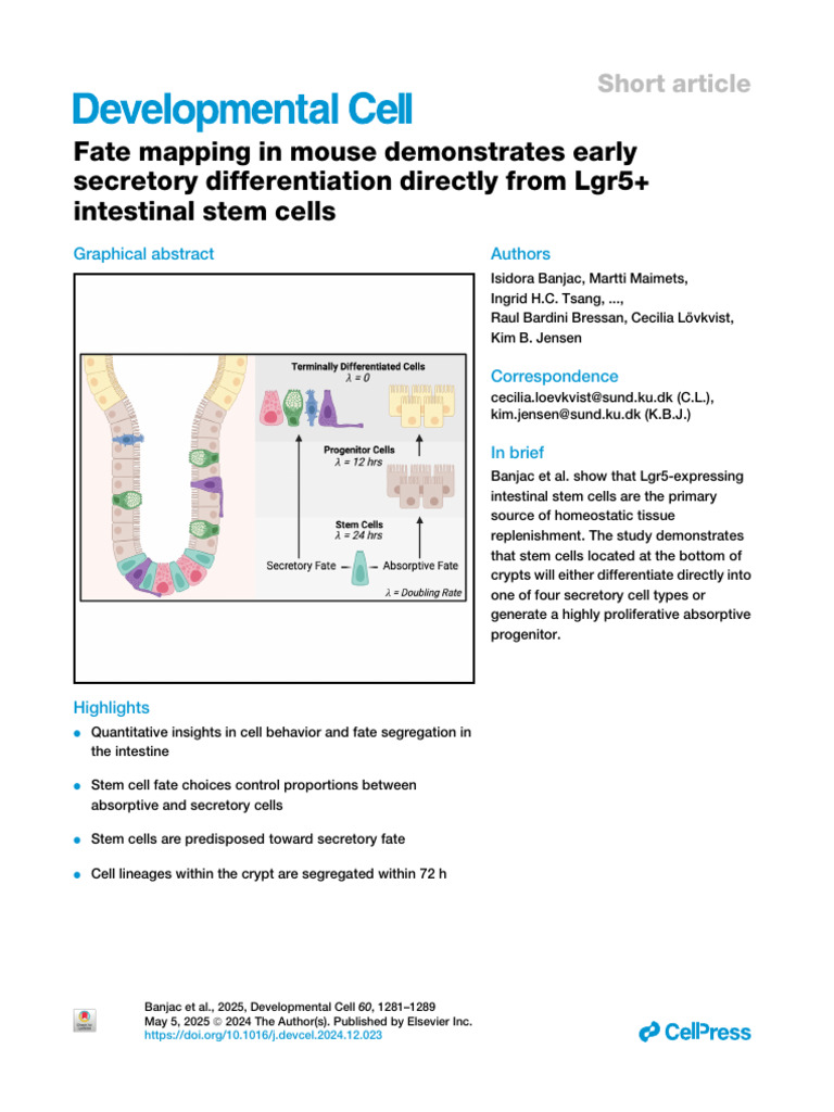 Early Secretory Differentiation in Intestine | PDF | Epithelium | Biology