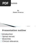 Cutaneous Innervation of Lower Limb | PDF | Human Leg | Limbs (Anatomy)