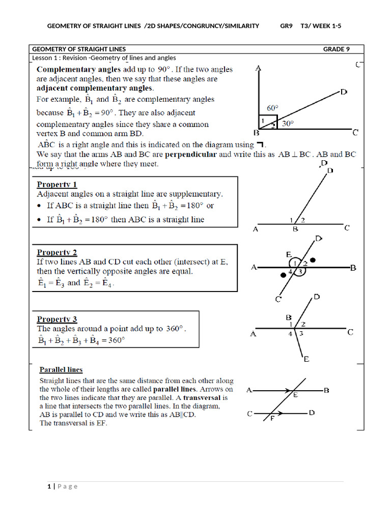 9th Grade Geometry: Congruency & Lines | PDF
