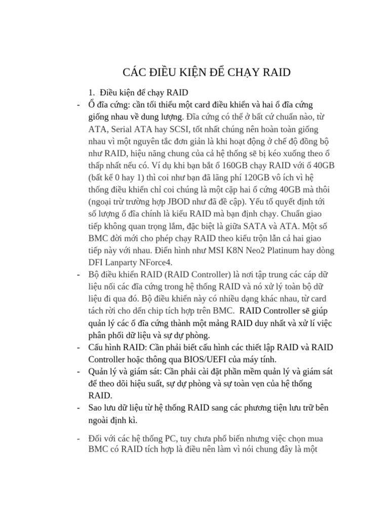Raid | PDF
