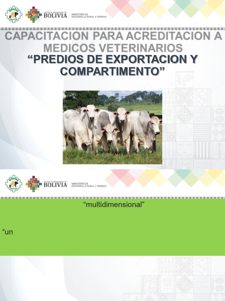 Capacitación en Bienestar Animal Veterinario | PDF | Bienestar de los ...