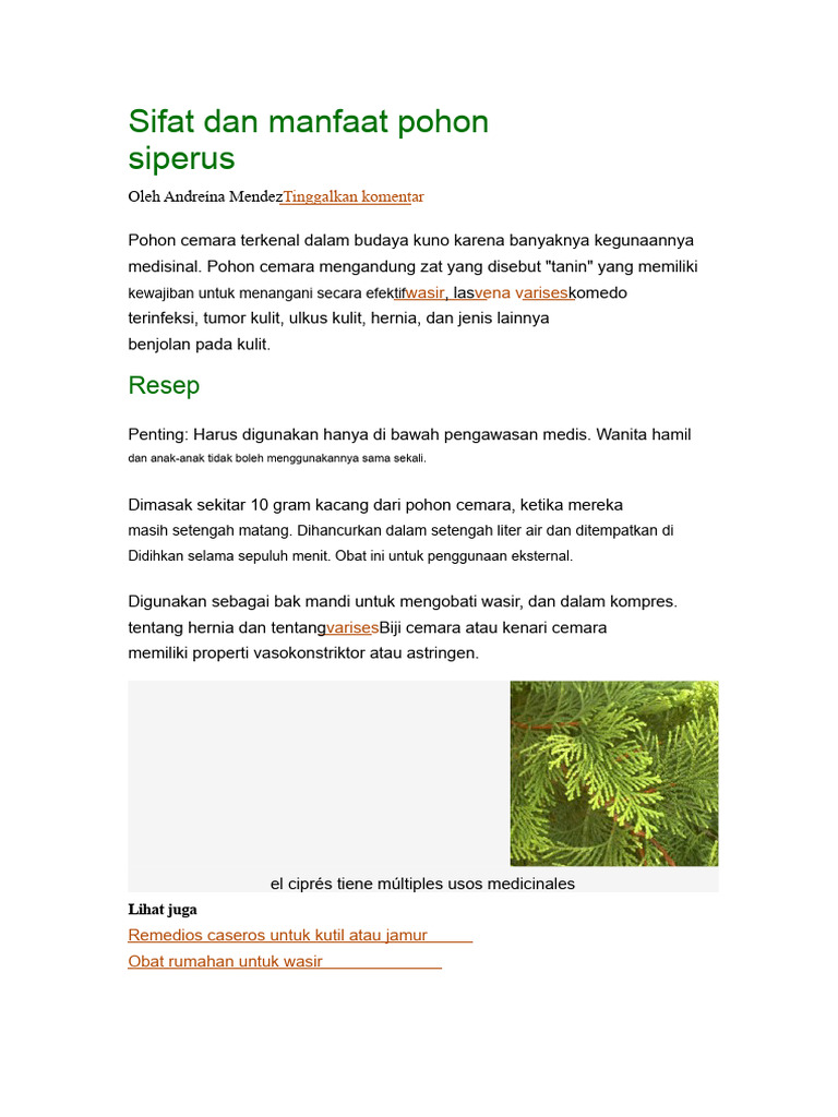 Sifat Dan Manfaat Pohon Cypress | PDF