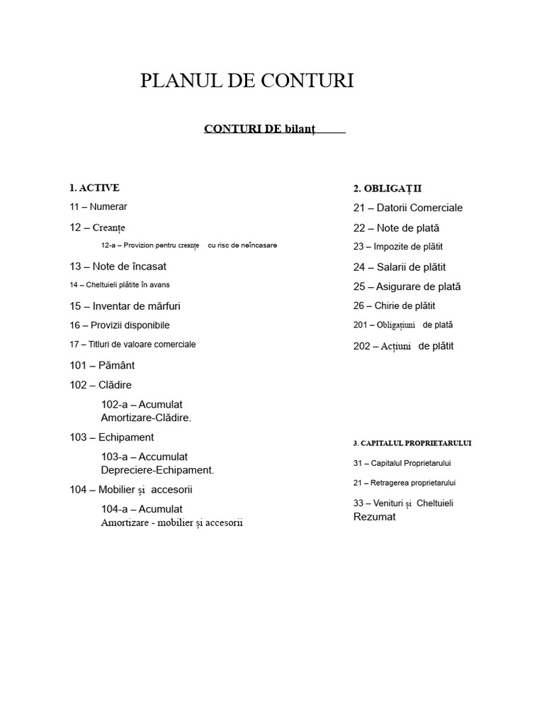 Planul de Conturi - FABM2 | PDF